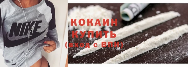 стаф Богородск