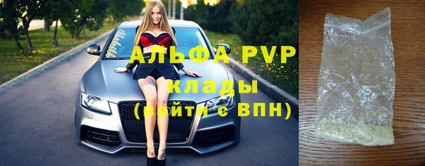 стаф Богородск