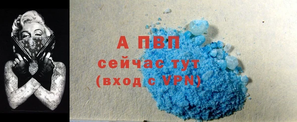 стаф Богородск